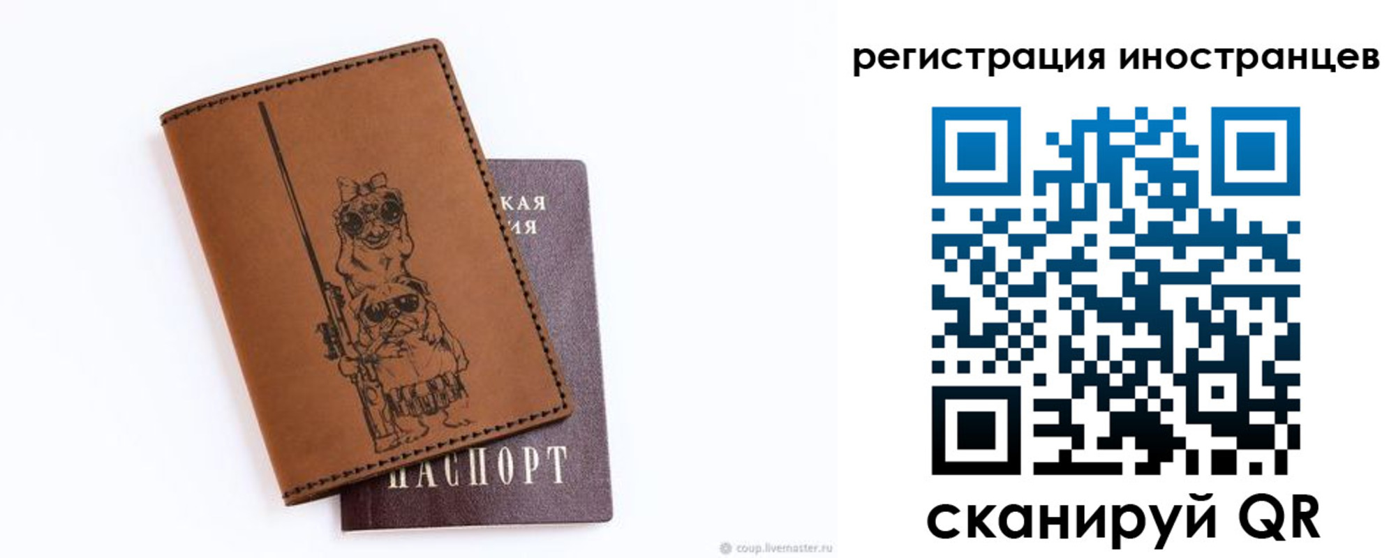 прописка гарантия в Кировске
